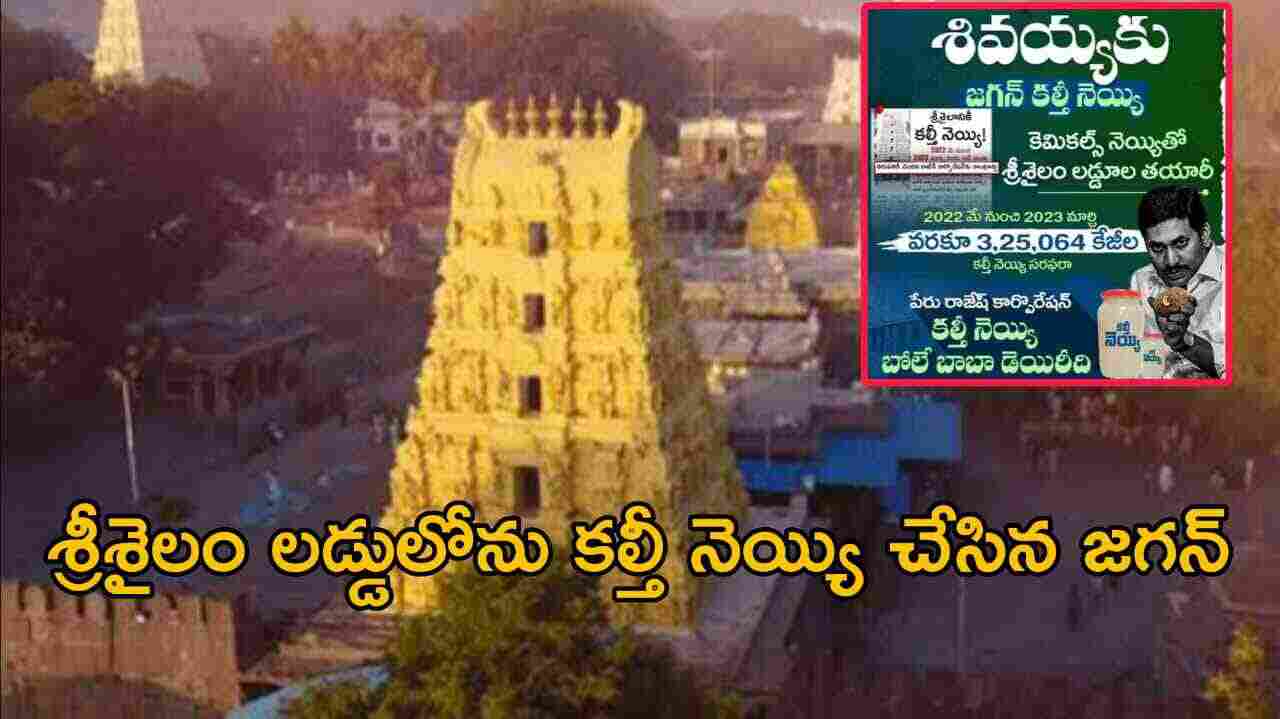 శ్రీశైలం లడ్డులోను కల్తీ నెయ్యి చేసిన జగన్