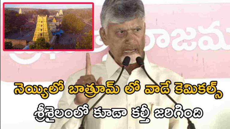 నెయ్యిలో బాత్రూమ్ లో వాడే కెమికల్స్