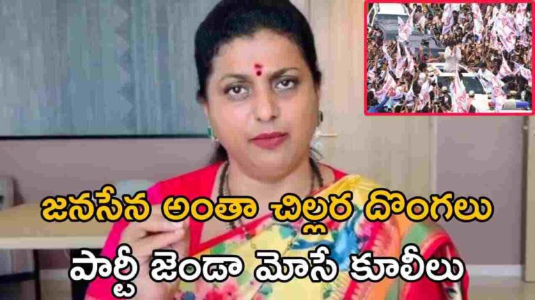 జనసేన అంతా చిల్లర దొంగలు