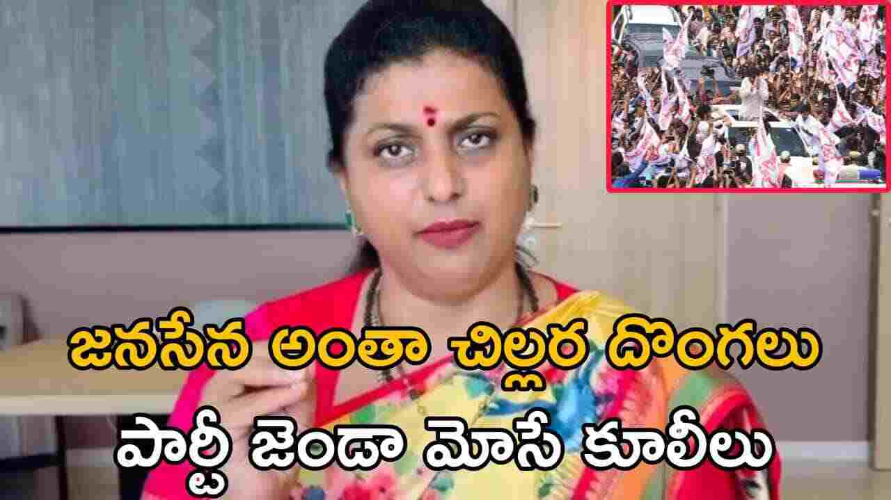 జనసేన అంతా చిల్లర దొంగలు