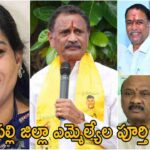 Anakapalli District MLA List 2024