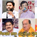 East Godavari District MLA List 2024