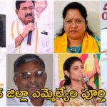 Kakinada District MLA List 2024