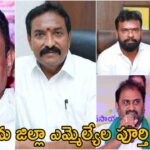 Konaseema District MLA List 2024