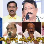 Visakhapatnam District MLA List 2024