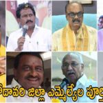 West Godavari District MLA List 2024
