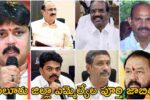 Eluru District MLA List 2024
