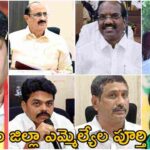 Eluru District MLA List 2024