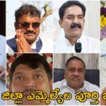 Krishna District MLA List 2024