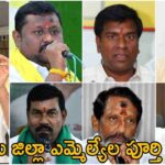 Kurnool District MLA List 2024