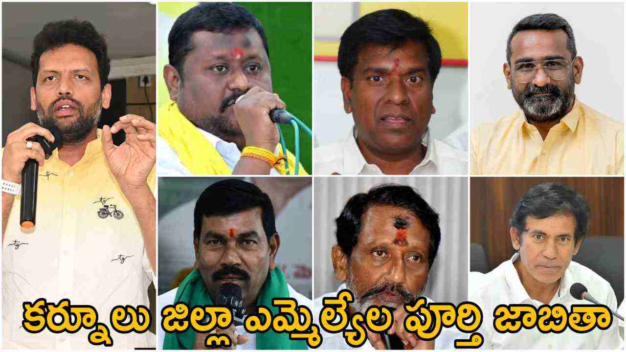 Kurnool District MLA List 2024