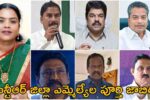 NTR District MLA List 2024